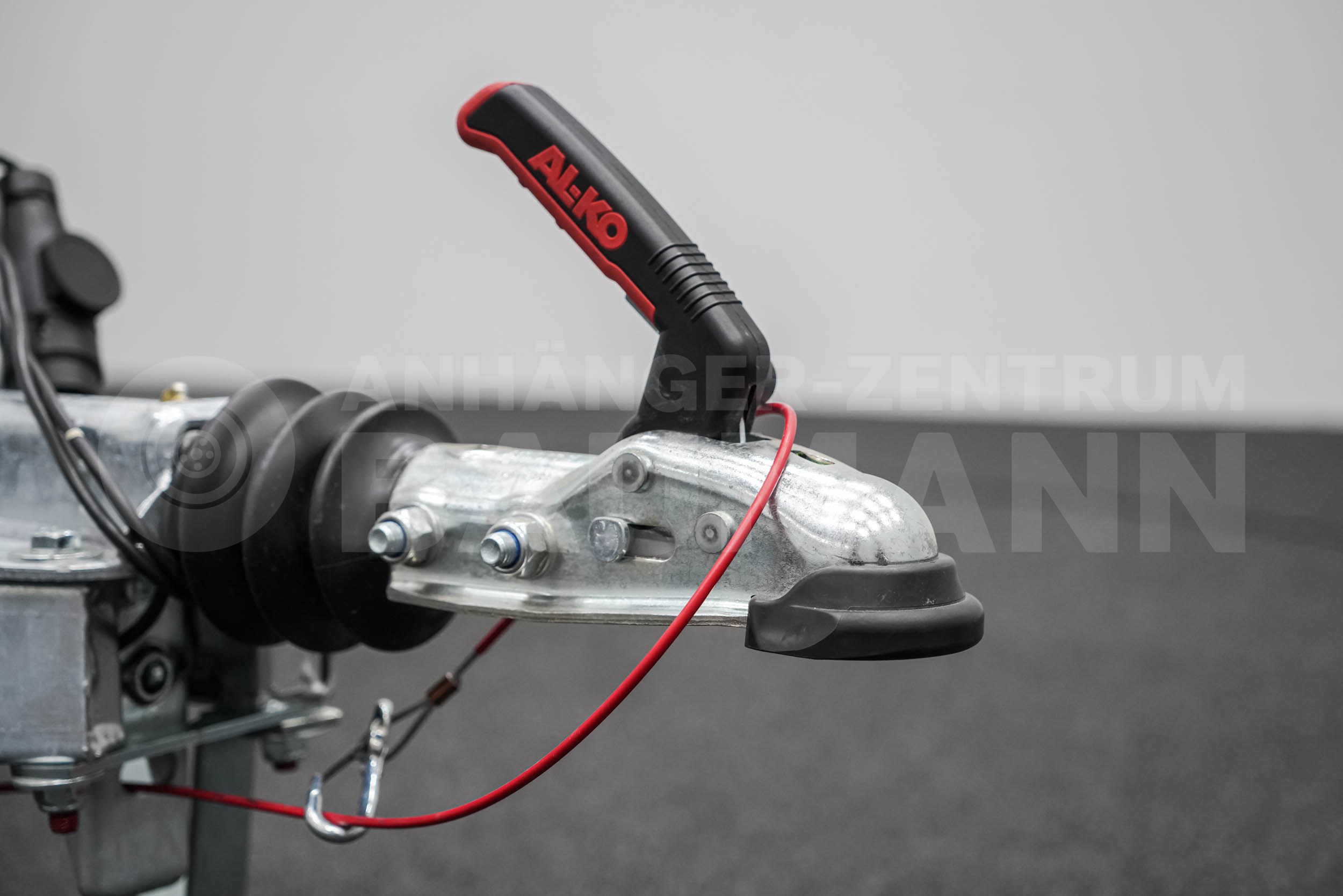 BLYSS F1336HD | RAMPE | SEITENTÜR