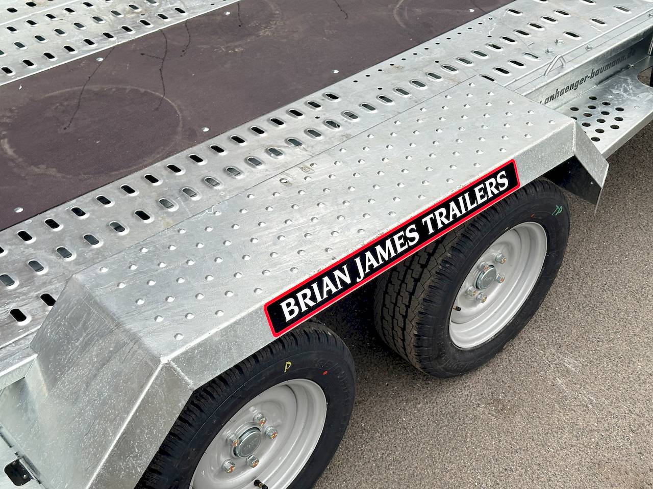 BRIAN JAMES DIGGER PLANT 543-3717-35-2-12 | EINZELRAMPEN