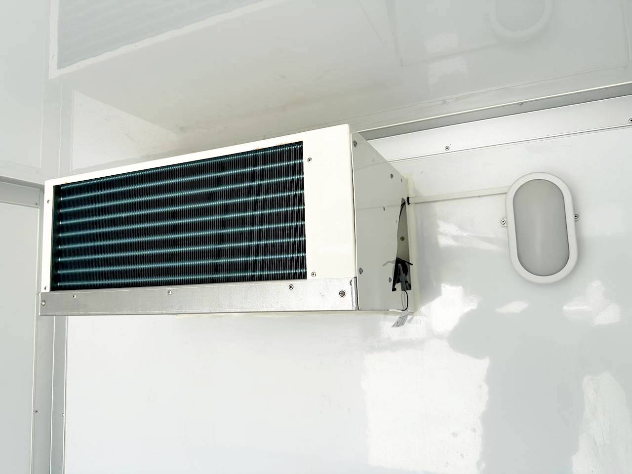 BAUMANN ER 3.0 FREEZE