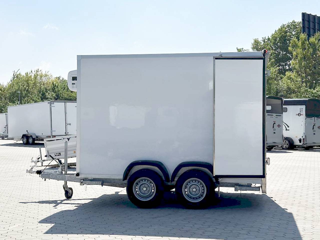 BAUMANN ER 3.0 FREEZE
