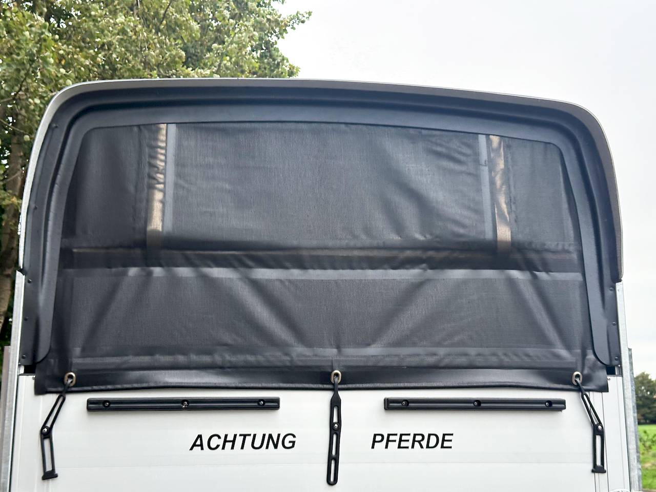 CHEVAL LIBERTE GOLD ORIGINS ALU