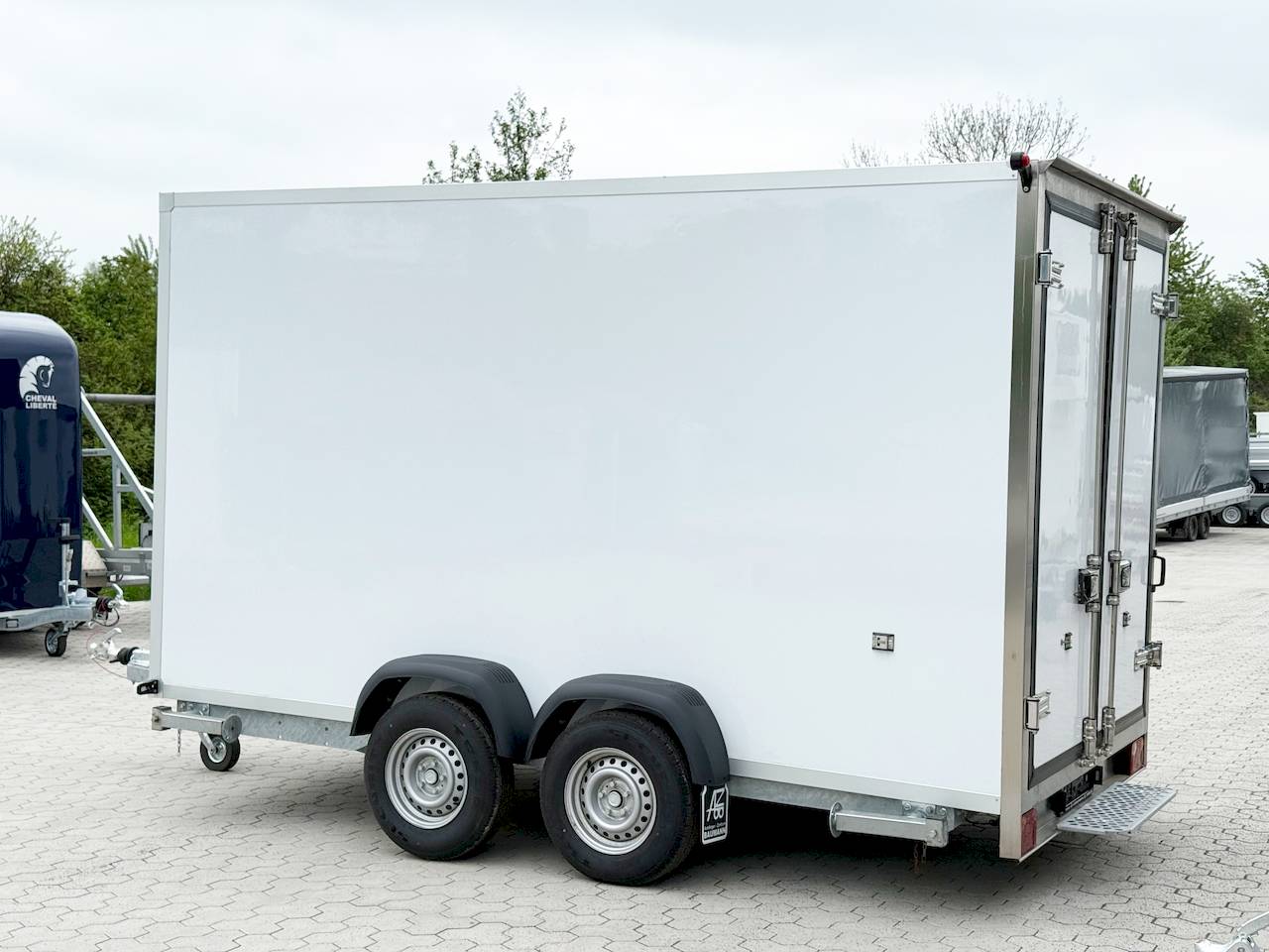 BAUMANN ER 3.7 FREEZE | SEITENTÜR
