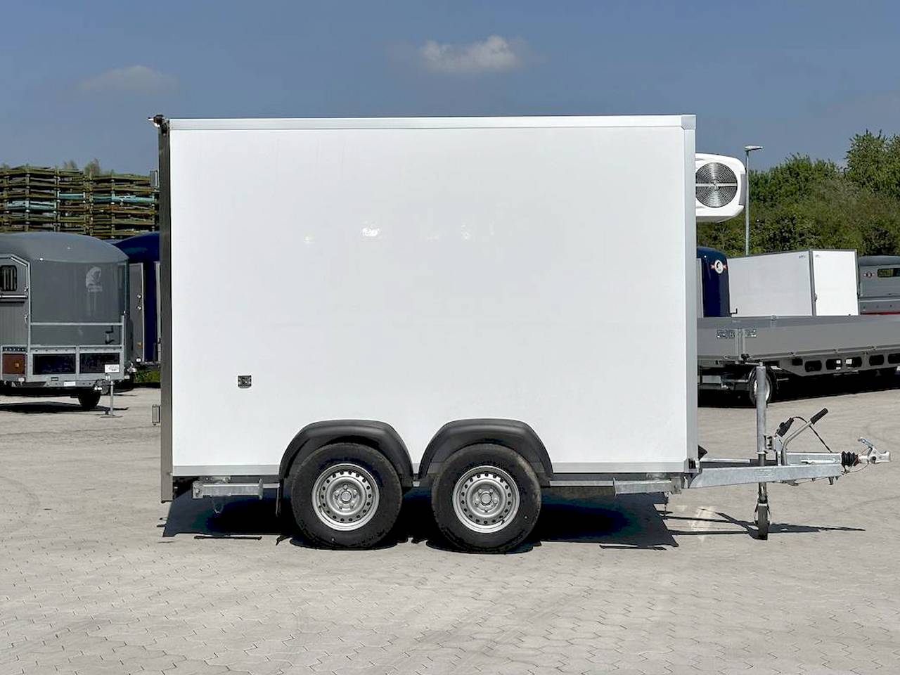 BAUMANN ER 3.0 FREEZE