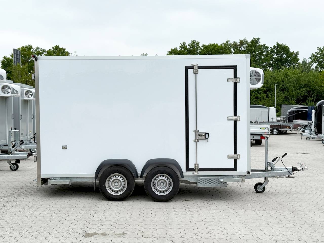 BAUMANN ER 3.7 FREEZE | SEITENTÜR